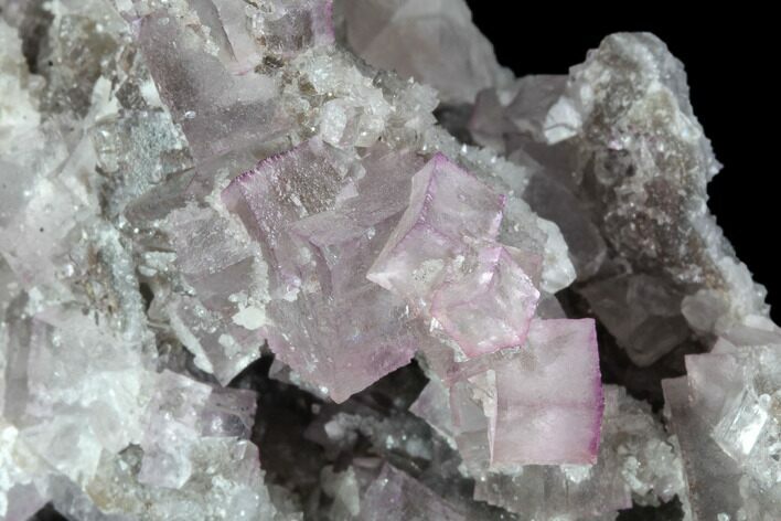 Pink/Purple Fluorite Crystals on Druzy Quartz - Mexico #90982
